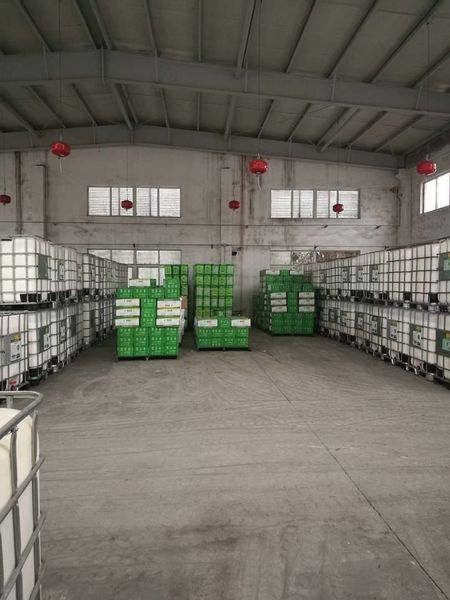 ประเทศจีน Shenzhen Taiqiang Investment Holding Co., Ltd รายละเอียด บริษัท